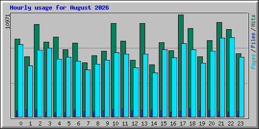 Hourly usage for August 2026